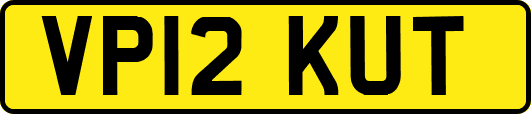 VP12KUT