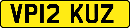 VP12KUZ