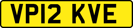 VP12KVE