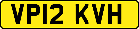 VP12KVH