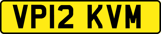 VP12KVM