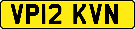 VP12KVN