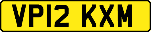 VP12KXM