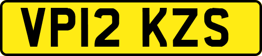 VP12KZS