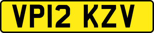 VP12KZV