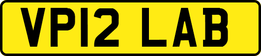 VP12LAB
