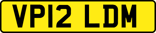 VP12LDM