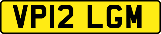 VP12LGM