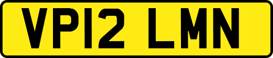 VP12LMN
