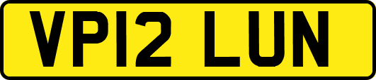 VP12LUN