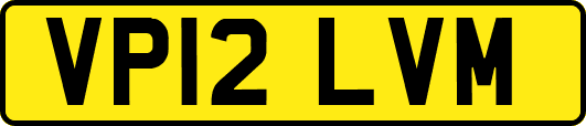 VP12LVM