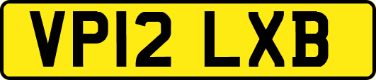 VP12LXB