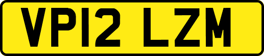 VP12LZM