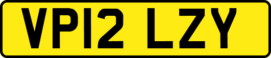 VP12LZY