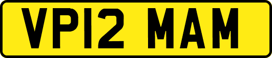VP12MAM