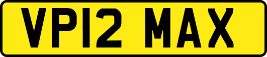 VP12MAX
