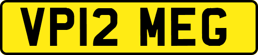 VP12MEG