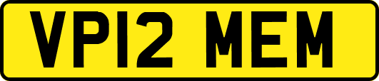 VP12MEM