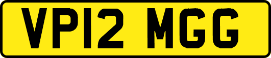 VP12MGG