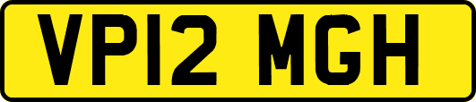 VP12MGH