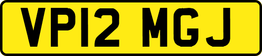 VP12MGJ