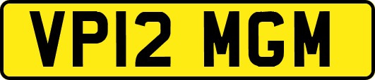 VP12MGM