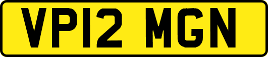 VP12MGN