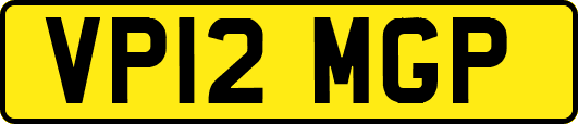 VP12MGP