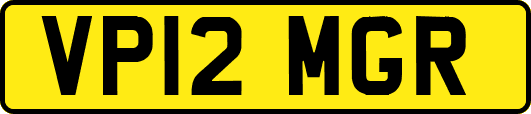 VP12MGR