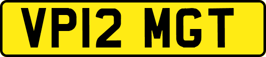 VP12MGT