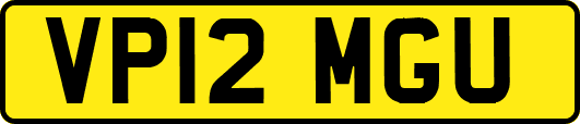 VP12MGU
