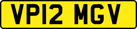 VP12MGV
