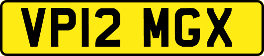VP12MGX