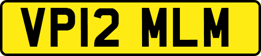 VP12MLM