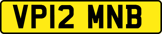 VP12MNB