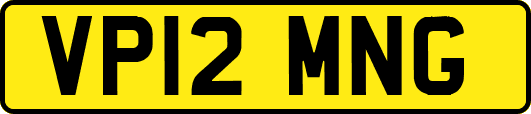 VP12MNG