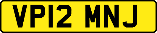 VP12MNJ