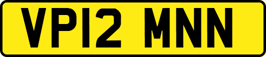 VP12MNN