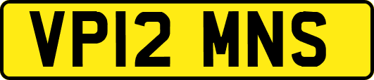 VP12MNS