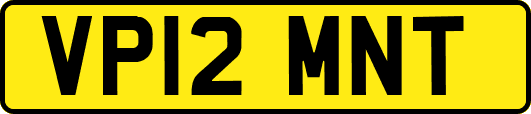 VP12MNT