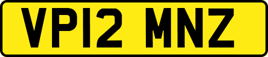 VP12MNZ