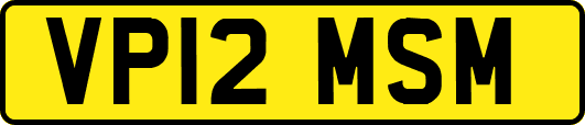 VP12MSM