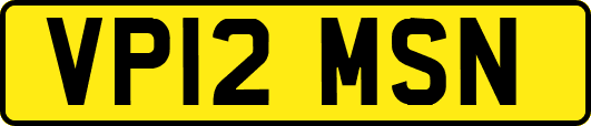VP12MSN