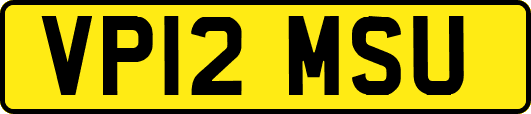 VP12MSU