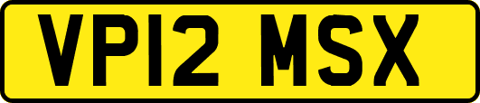 VP12MSX