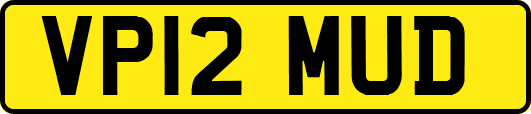 VP12MUD