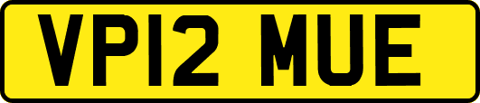 VP12MUE