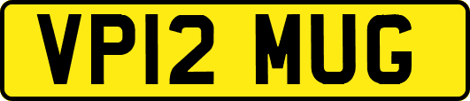VP12MUG
