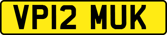 VP12MUK