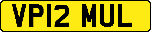 VP12MUL